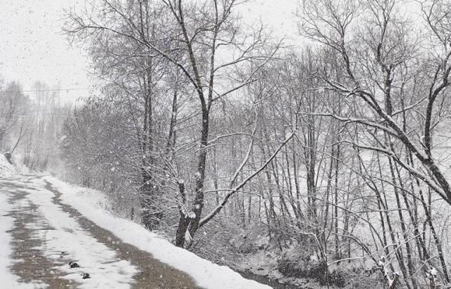Гірські райони Закарпаття рясно вкрило снігом (ФОТО, ВІДЕО)