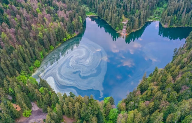 Незвичайні барви. У мережі з'явились цікаві фото озера Синевир (ФОТО)