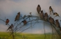 "Співоча контрабанда" - 250 рідкісних птахів з України затримали на митниці в Угорщині (ФОТО, ВІДЕО)