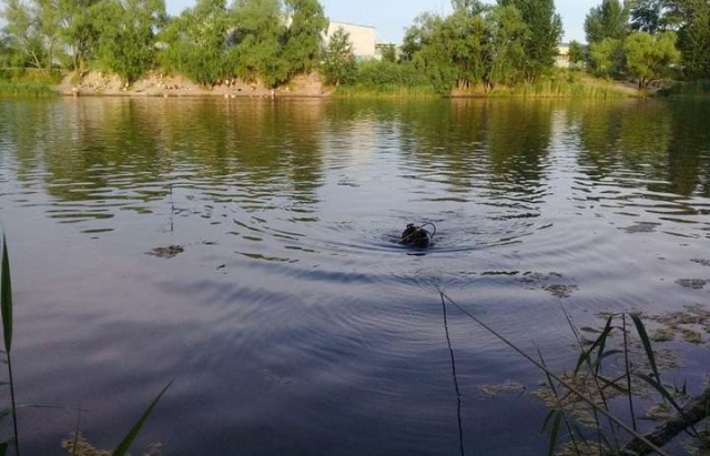 В озері на Іршавщині потонув мукачівець