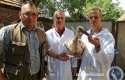 Угорці організували цілу спецоперацію з порятунку пораненого лелеки на Закарпатті (ФОТО)