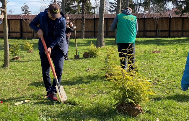 Волонтери висадили у Мукачеві майже 1000 дерев (ФОТО)