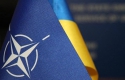 Стало відомо, скільки відсотків українців підтримують вступ до НАТО