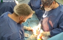 На Закарпатті провели унікальну операцію на відкритому серці (ФОТО, ВІДЕО)
