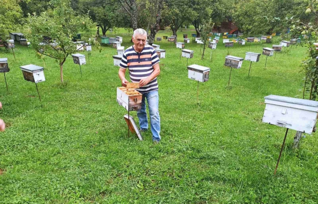 Підсумок сезону: Закарпатський пасічник про актуальну ціну меду, експорт бджіл та обман туристів (ФОТО)