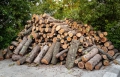 На Закарпатье жители 12 сел не могут закупить дрова на зиму
