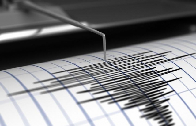 В Карпатах знову зафіксували землетрус