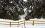 Фото дня: Синевирське озеро вкрило снігом (ФОТО)