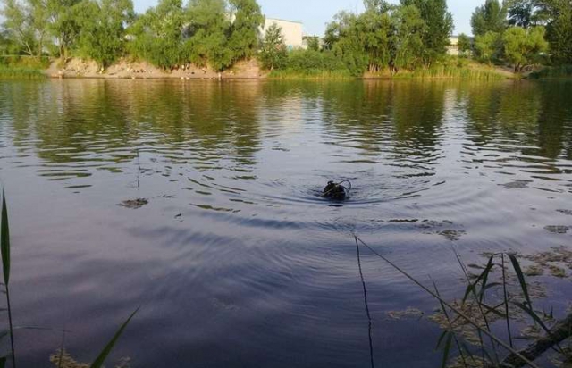 На Ужгородщині в Латориці шукали тіло ймовірного потопельника