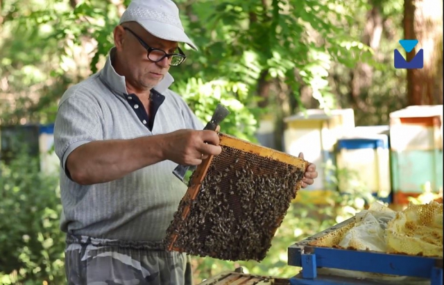 Закарпатський пасічник розповів про весняний сезон, цьогорічні проблеми та ціну на мед (ВІДЕО)
