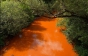 В Словаччині оголосили надзвичайний стан через забруднення річки, яка впадає в Тису