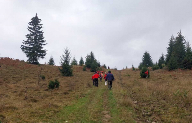 В лісі на Мукачівщині зник 65-річний чоловік: Обставини з'ясовує поліція