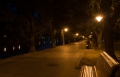 Закарпатська ОВА в понеділок заборонить освітлення вивісок, вітрин та вуличного світла