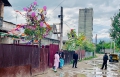 В ромском лагере Ужгорода двор украшают березы в лентах и шариках (ФОТОФАКТ)