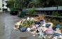 Подекуди в Ужгороді сміття не вивозять тижнями (ФОТОФАКТ)