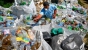 Піде на переробку: В Угорщині з Тиси витягнули 10 000 тонн пластику та сміття (ФОТО)