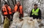 300 кг сміття: Річку Боржава таки очистили від пластикового "острову" на Берегівщині (ФОТО, ВІДЕО)