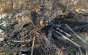 Згорілий будинок на Берегівщині, в якому загинуло 4 людини