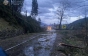 Негода: На Закарпатті вітер повалив на дороги більше 40 дерев. Одне придавило Skoda (ФОТО)