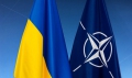 9 президентів підтримали членство України в НАТО
